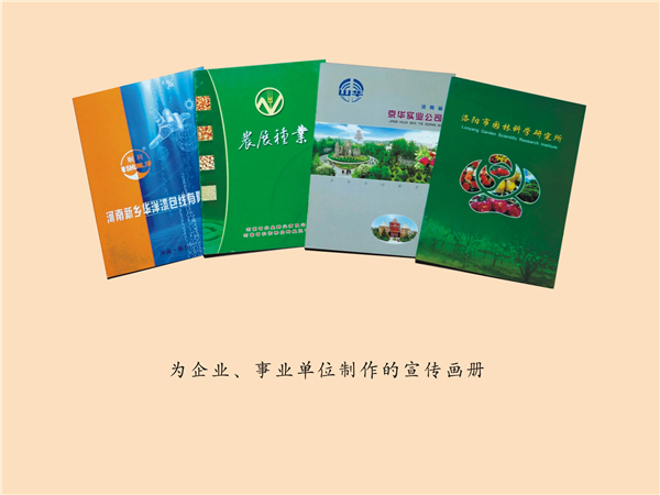 为企业、事业单位制作的宣传画作